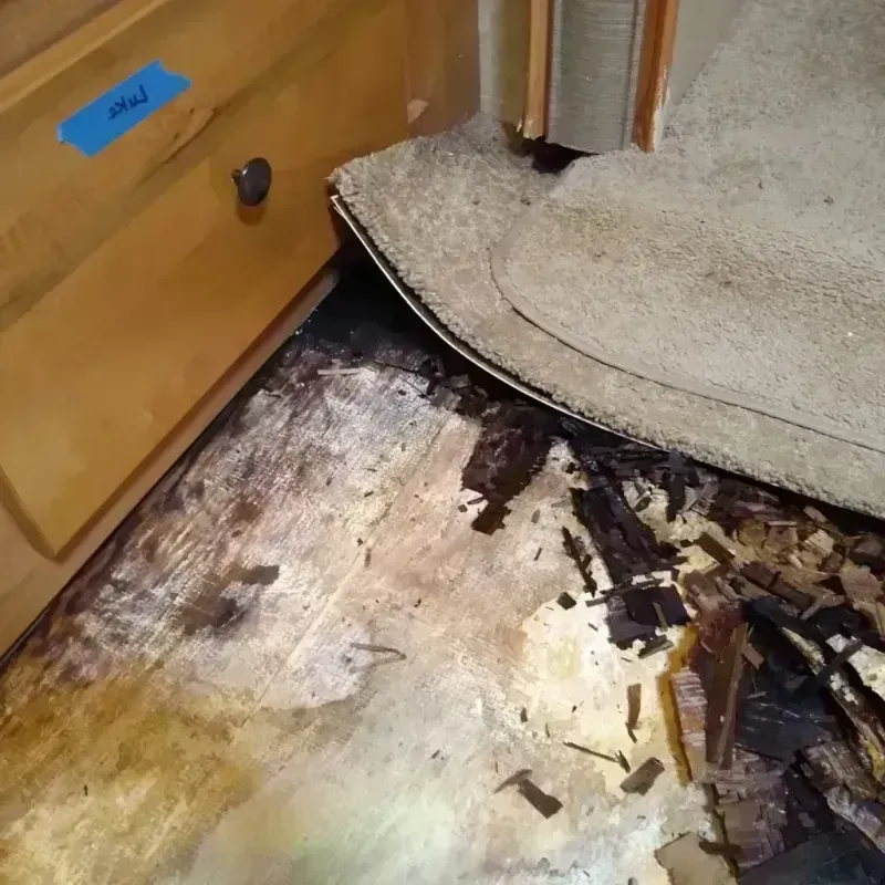 Best Wood Floor Water Damage Service in Edgewater, MD